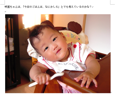 文書に写真が挿入されたことを確認してください