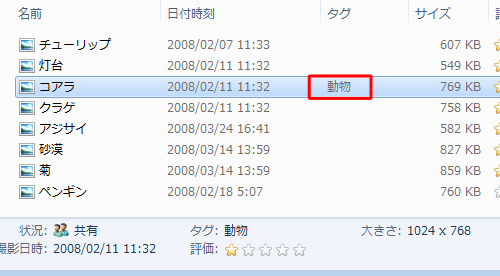 ファイルにタグが追加されたことを確認してください