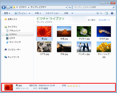 詳細ウィンドウ表示の状態