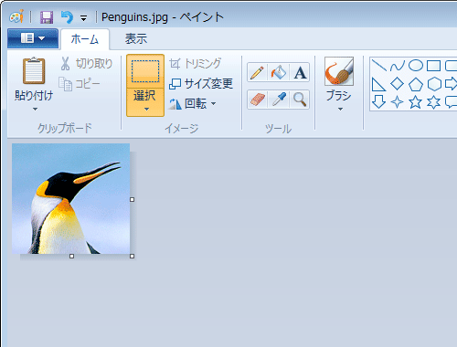 選択した範囲がトリミングされます