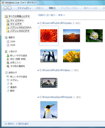 Windows Liveフォトギャラリーが起動したことを確認してください