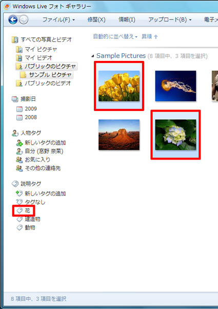 画面左側の「説明タグ」欄にタグが表示されていることを確認し、タグを付けたい写真をすべて選択します