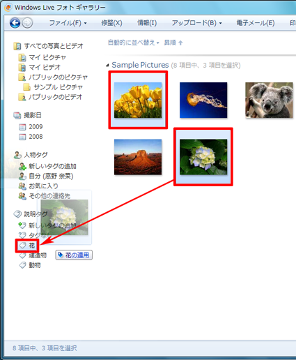 選択した写真を、「説明タグ」欄のタグにドラッグ&ドロップします