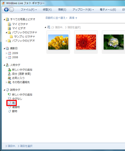 「説明タグ」欄からタグをクリックして、選択した写真が表示されることを確認してください