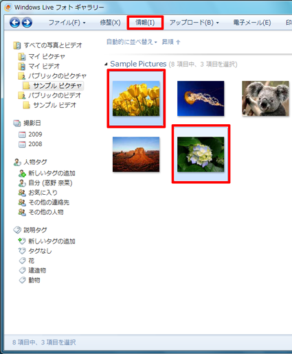 Windows Liveフォトギャラリーを起動して、評価を付けたい写真をクリックし、メニューバーから「情報」をクリックします