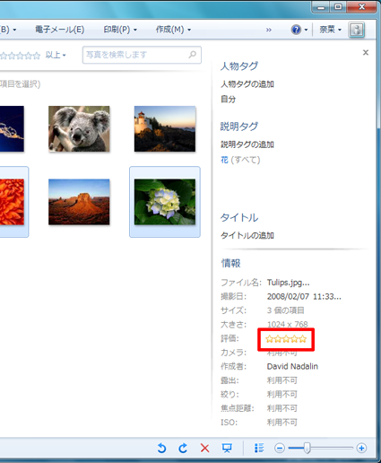 選択した写真の評価が、指定した星の数になったことを確認してください
