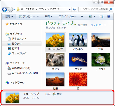 詳細ウィンドウ表示の状態