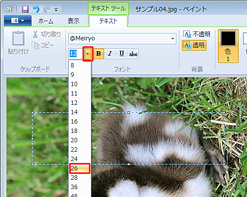 「フォントサイズ」ボックスの「▼」をクリックし、表示された一覧から文字サイズをクリックします