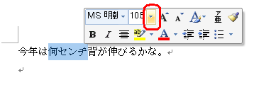 「フォントサイズ」の右側にある「▼」をクリックします