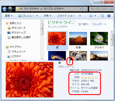 詳細ウィンドウの縦幅が広がり、「大きさ」や「サイズ」などのプロパティ情報が表示されたことを確認してください
