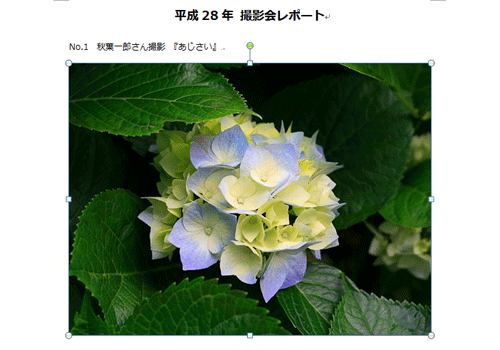 文書に写真が挿入されたことを確認してください