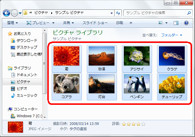 ファイルが保存されているフォルダーを表示し、名前を変更したいファイルをすべて選択します