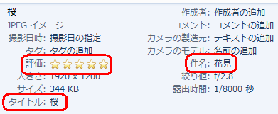 JPEGファイルの詳細情報（一例）