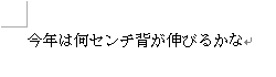 任意の文章を入力します