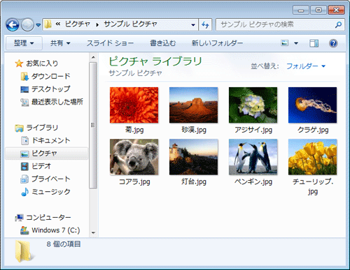 正常にファイルのサムネイルが表示されることを確認してください