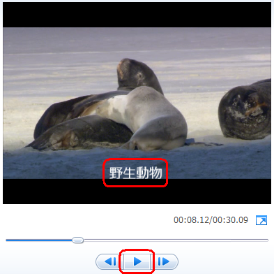 「再生」をクリックして、指定した場所にキャプションが表示されることを確認してください