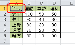 セルに斜線を引いた表（一例）