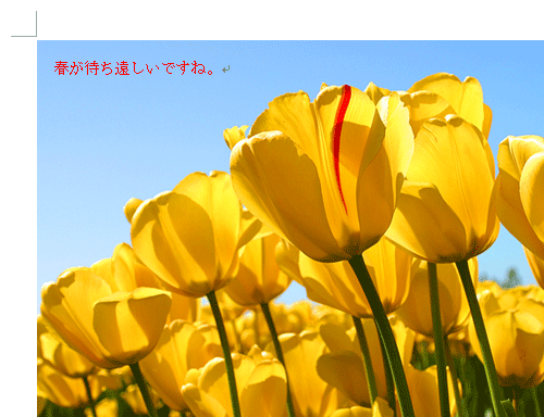 一例