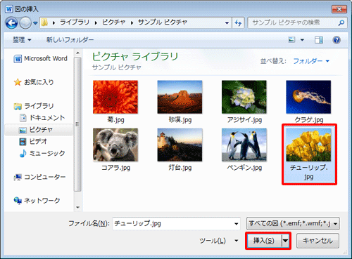 画像が保存されているフォルダーを選択し、挿入したい画像をクリックして「挿入」をクリックします