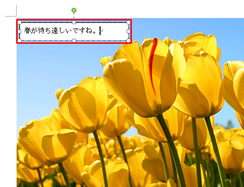 画像の中にテキストボックスが作成されたことを確認し、テキストボックス内に任意の文字を入力します