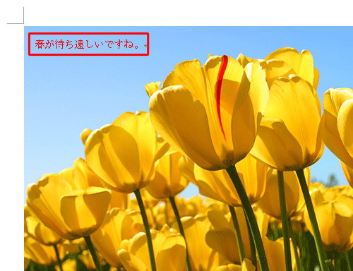画像の中に文字が挿入できたことを確認してください