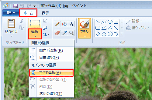 リボンから「ホーム」タブをクリックし、「イメージ」グループから「選択」の「▼」をクリックして、表示された一覧から「すべて選択」をクリックします