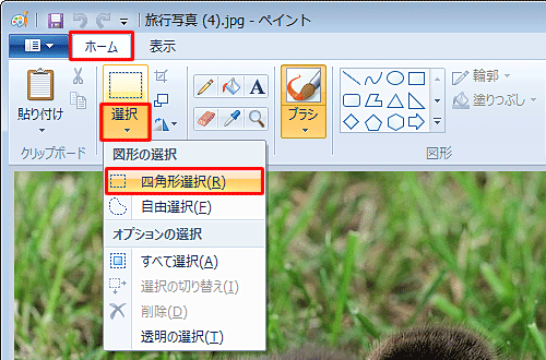 表示された一覧から画像の範囲選択方法をクリックします