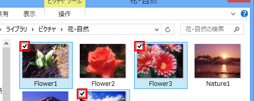 チェックボックスを表示して選択した状態