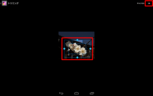 画像に表示された枠を上下左右に動かして、表示したい範囲を設定したら、画面右上の「OK」をタップします
