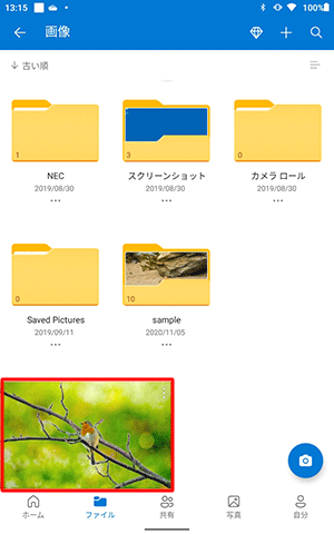 一覧から、該当するファイルをタップします