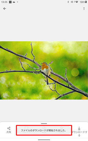 「ファイルのダウンロードが開始されました。」というメッセージが表示されます