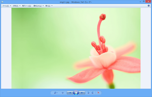 「Windowsフォトビューアー」で表示した状態