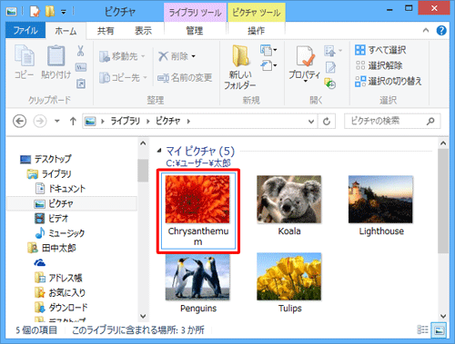 ファイルがダウンロードされたことを確認してください