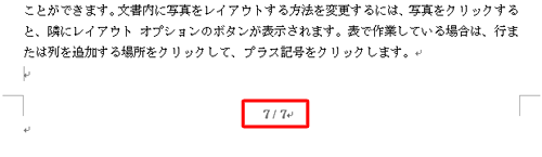 総ページ数入りページ番号の一例