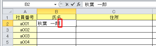 セルをダブルクリックすると、カーソルが表示されることを確認してください