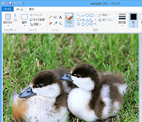 ペイントを起動し、文字を縦書きで入力したい任意の画像を表示します