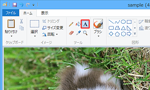 画像が回転したことを確認し、リボンから「ツール」グループの「テキスト」をクリックします