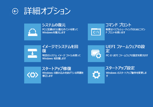 「詳細オプション」が表示されます