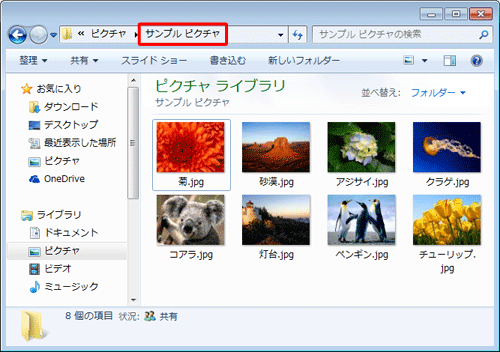 スライドショーで閲覧したい写真が保存されているフォルダーを表示します