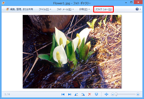 画面上部の「スライドショー」をクリックします