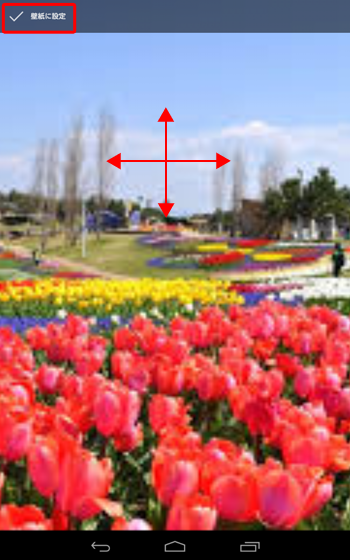 画像を上下左右に動かして、表示したい範囲を設定したら、画面左上の「壁紙に設定」をタップします