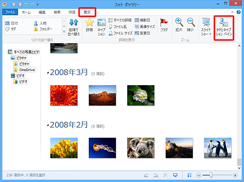 フォトギャラリーを起動し、リボンから「表示」タブをクリックして、「ズーム」グループの「タグとキャプションペイン」をクリックします