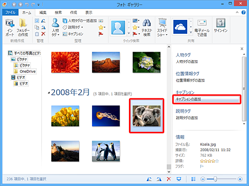 目的の写真をクリックし、画面右側に表示される写真情報の一覧から「キャプションの追加」をクリックします