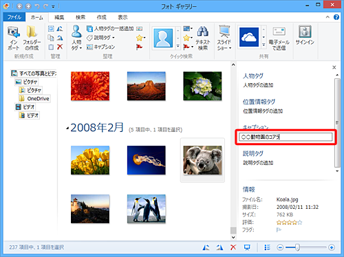 「タイトル」ボックスに写真に付けたいタイトル名を入力し、キーボードの「Enter」キーを押します