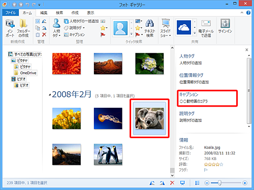 目的の写真をクリックし、「キャプション」欄に入力したタイトル（キャプション）が表示されていることを確認してください