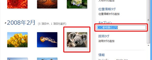 キャプションを変更したい場合は、目的の写真をクリックし、「キャプション」欄をクリックして、入力ボックスが編集モードになったら、設定したいキャプション名を入力し、「Enter」キーを押します