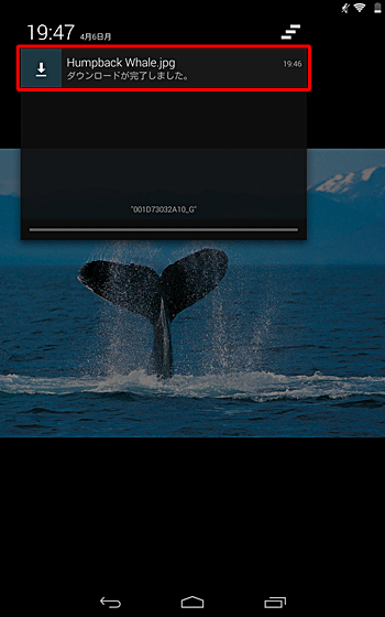 画面左上に「ダウンロードが完了しました。」という通知が表示されるので、タップします
