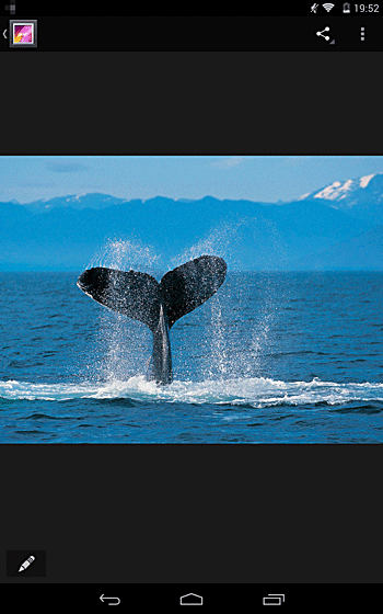 「ギャラリー」が起動し、画像が表示されます