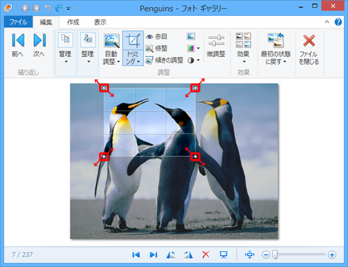 枠の四隅に表示されている「□」をドラッグし、トリミングする範囲を設定します