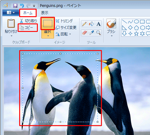リボンから「ホーム」タブをクリックし、「イメージ」グループから「選択」をクリックして、コピーしたい部分をドラッグして範囲選択したら、「クリップボード」グループから「コピー」をクリックします
